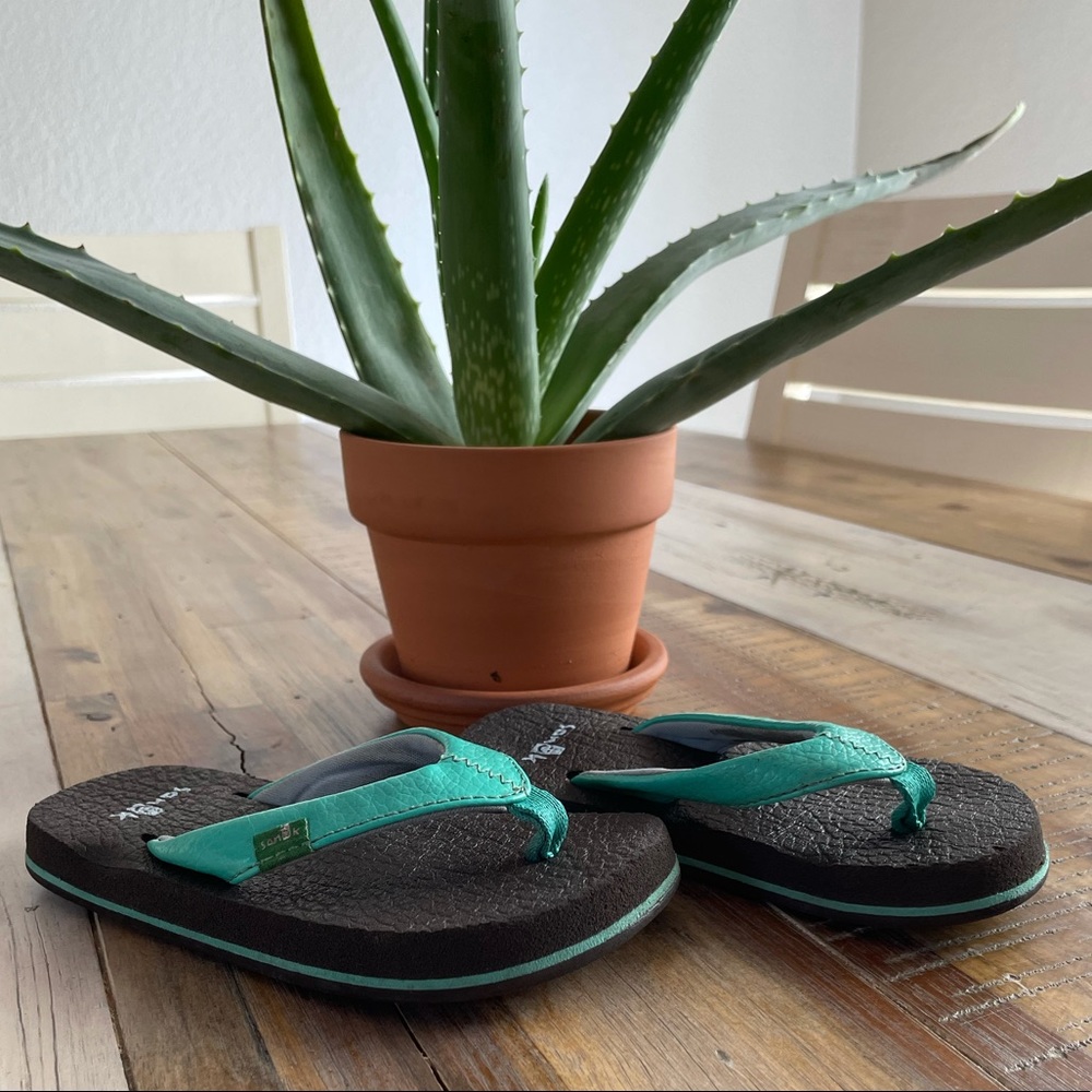 Toddler Sanuk Flip Flops